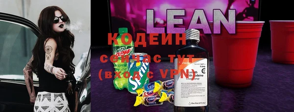 амф Пестово