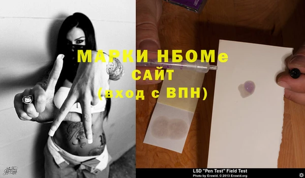 амф Пестово