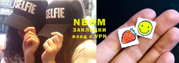 амф Пестово