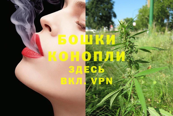 амф Пестово