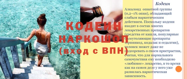амф Пестово