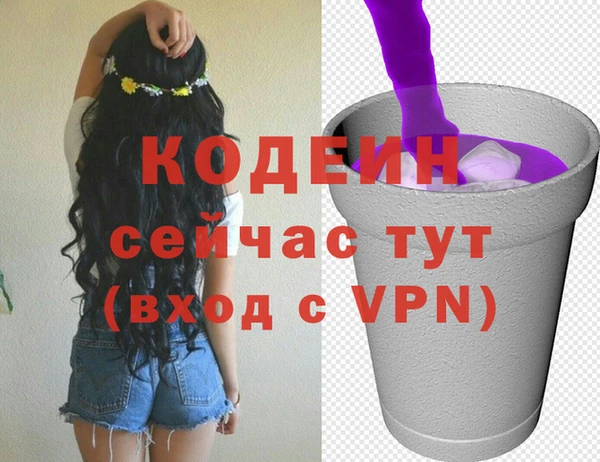 амф Пестово