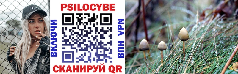 Купить  Сретенск  Псилоцибиновые грибы Cubensis 